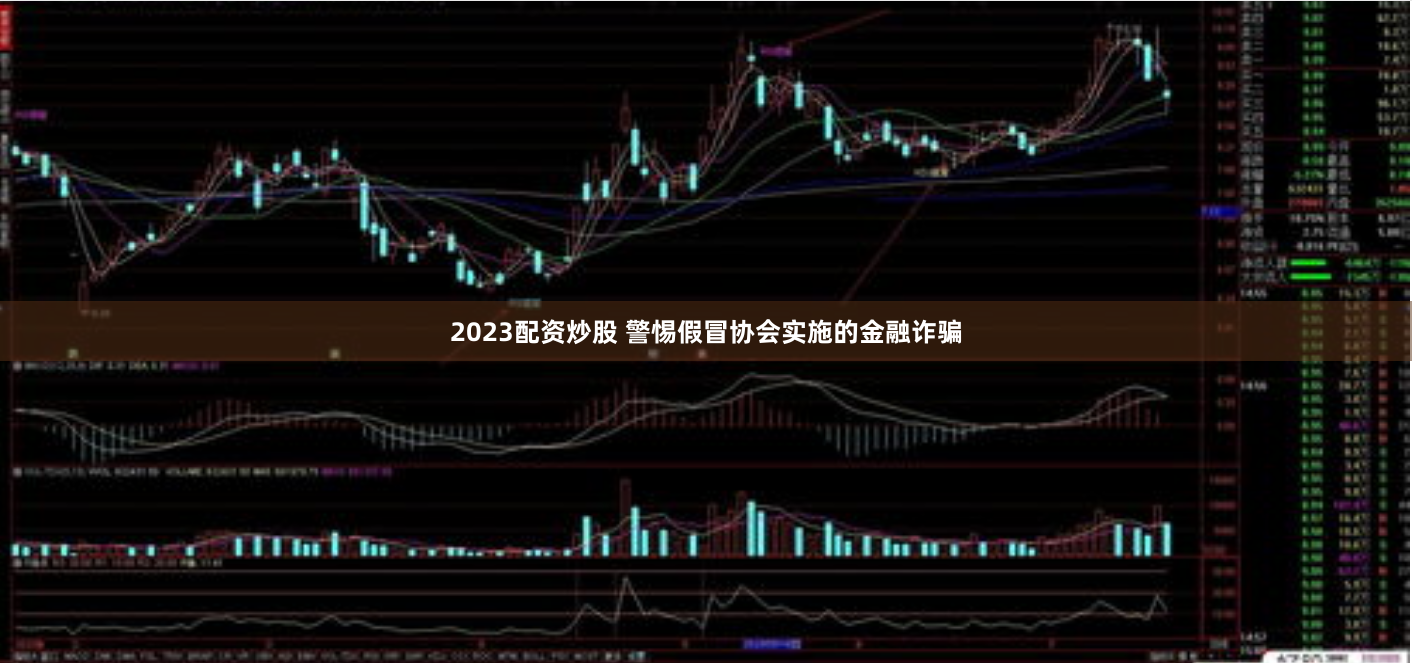 2023配资炒股 警惕假冒协会实施的金融诈骗