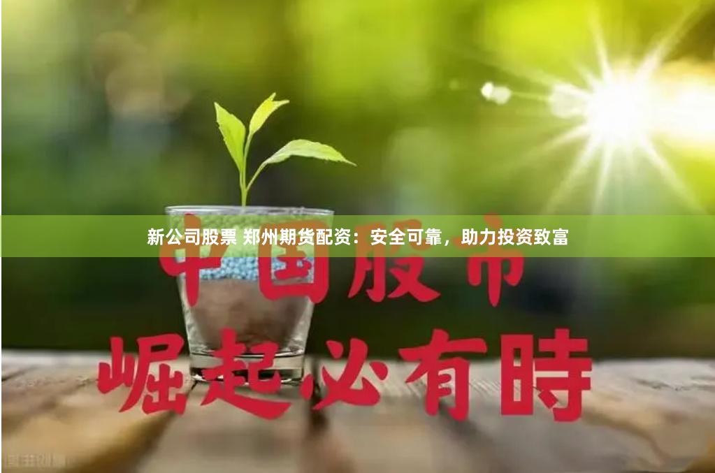 新公司股票 郑州期货配资：安全可靠，助力投资致富