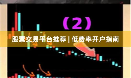 股票交易平台推荐 | 低费率开户指南