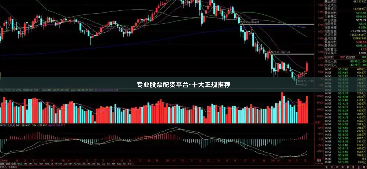 专业股票配资平台·十大正规推荐